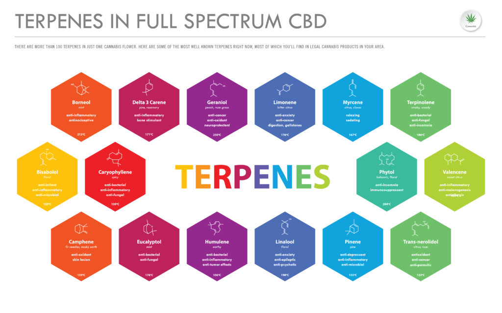 Terpenes in Cannabis / CBD